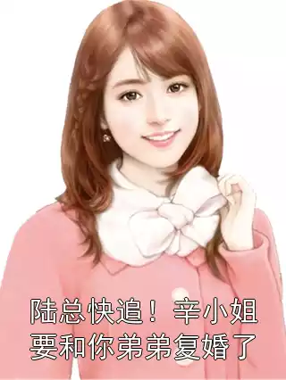 陆总快追！辛小姐要和你弟弟复婚了小说