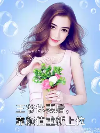 王爷休妻后，靠颜值重新上位小说