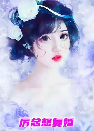 厉总想复婚小说