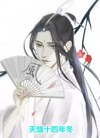 天盛十四年冬小说