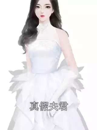 真假夫君小说