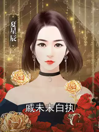 戚未未白执小说