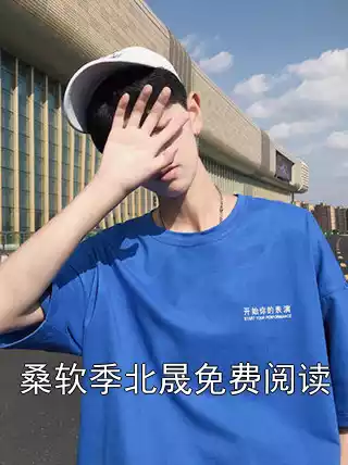桑软季北晟免费阅读