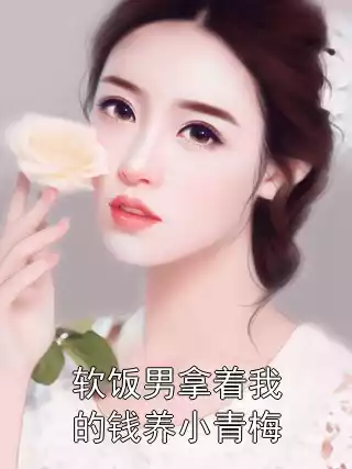 软饭男拿着我的钱养小青梅小说