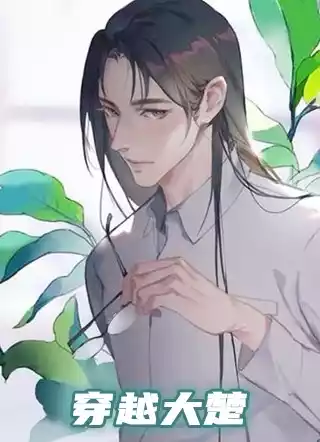 穿越大楚小说