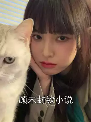 顾未封钦小说小说