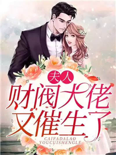 夫人财阀大佬又催生了小说
