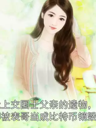 我上交国士父亲的遗物，却被表哥当成比特币销毁了