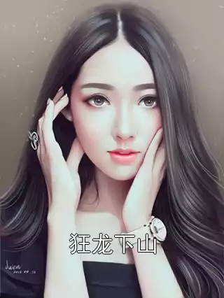 狂龙下山小说