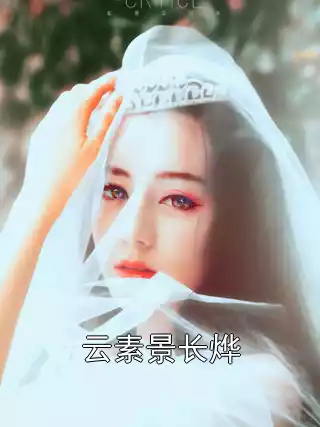 云素景长烨小说