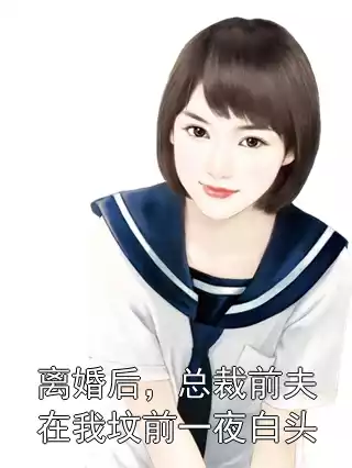 离婚后，总裁前夫在我坟前一夜白头小说