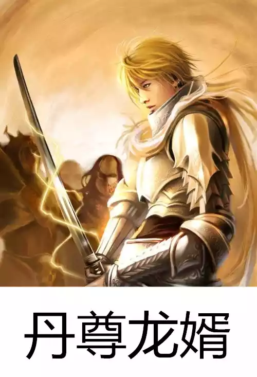丹尊龙婿小说