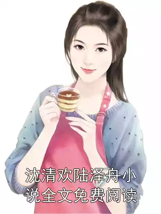 沈清欢陆泽舟小说全文免费阅读
