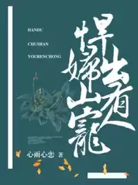 悍妇出山有人宠小说