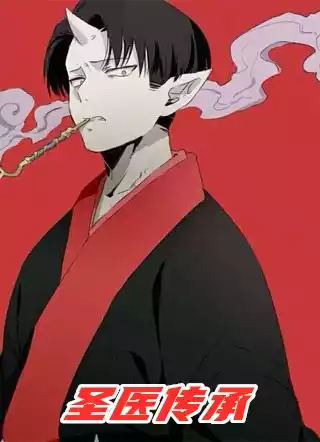圣医传承小说