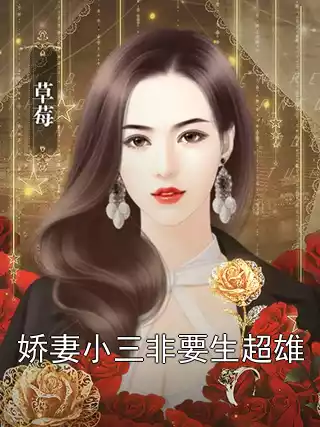 娇妻小三非要生超雄小说