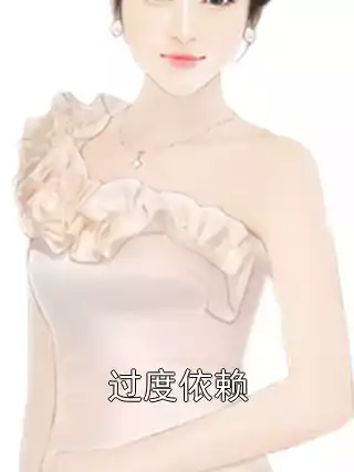 过度依赖小说