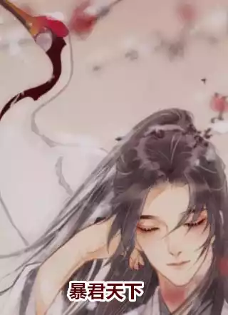 暴君天下小说