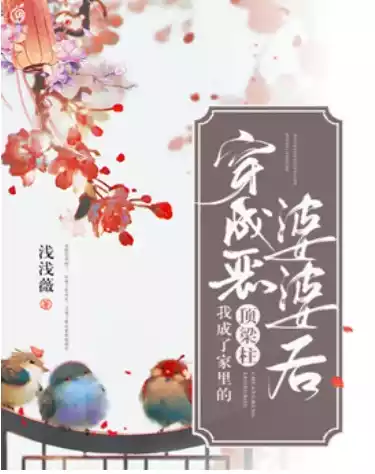 穿成恶婆婆后我成了家里的顶梁柱小说