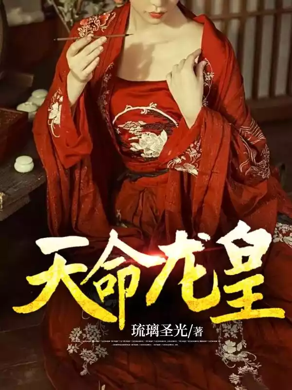 天命龙皇小说小说