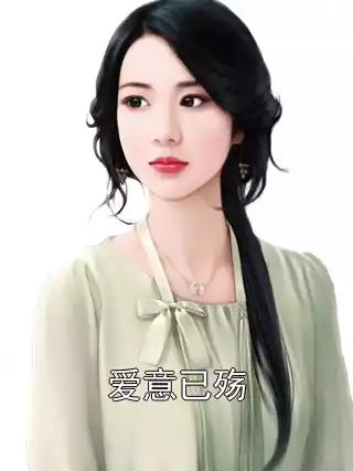 爱意已殇小说
