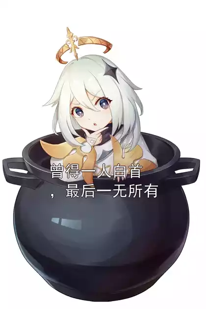 曾得一人白首，最后一无所有小说