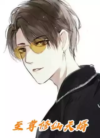 至尊修仙天婿小说