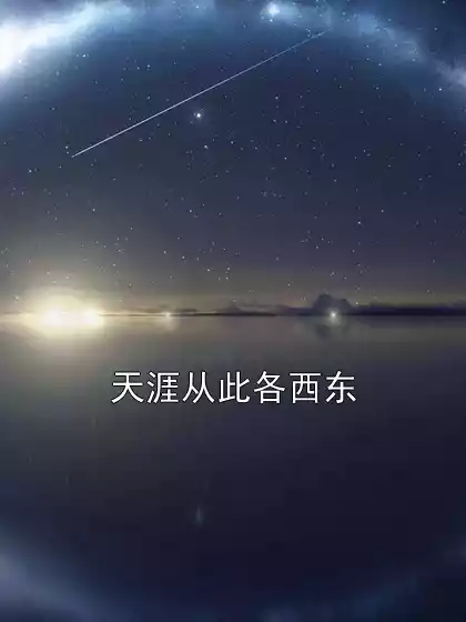 天涯从此各西东小说