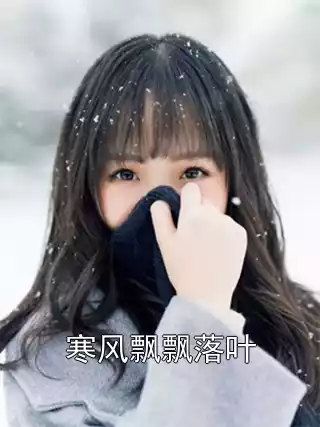寒风飘飘落叶小说