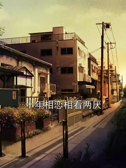 十年相恋相看两厌小说