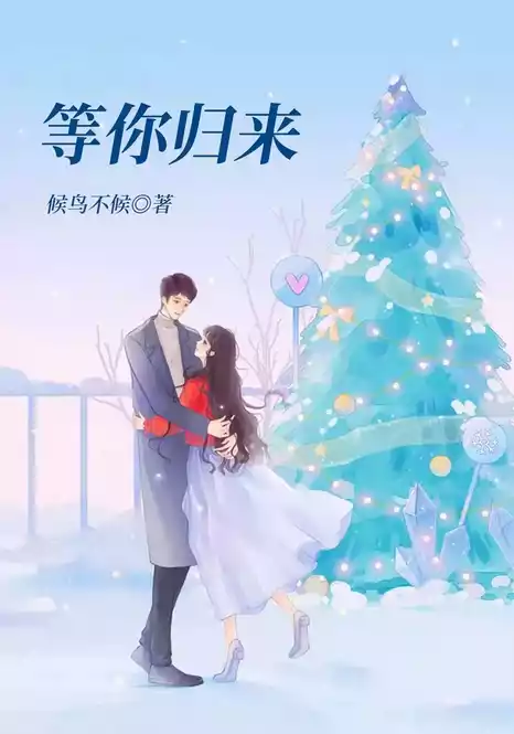 等你归来小说