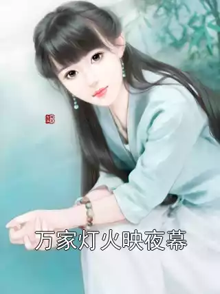 万家灯火映夜幕小说