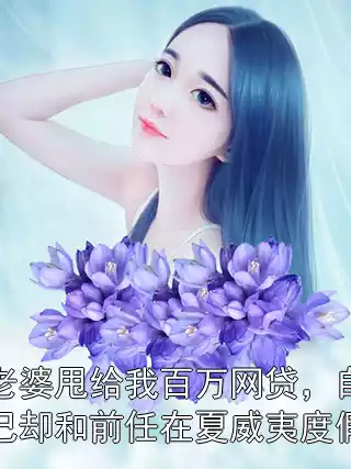 老婆甩给我百万网贷，自己却和前任在夏威夷度假小说