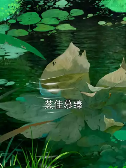 艾佳慕臻小说
