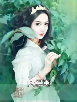 天黑黑小说