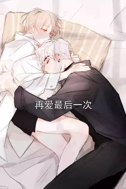 再爱最后一次小说