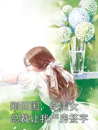 刚回国，绝美女总裁让我产房签字