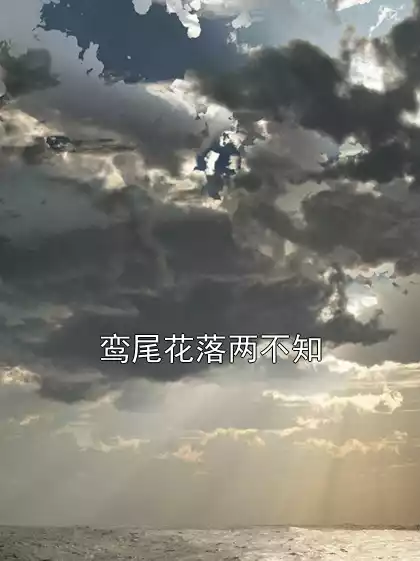 鸾尾花落两不知小说