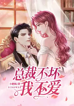 总裁不坏我不爱