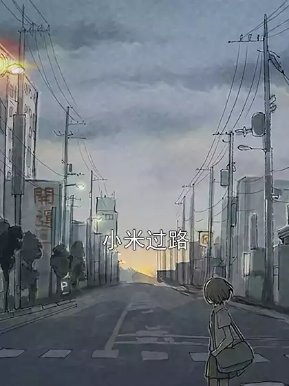 小米过路小说