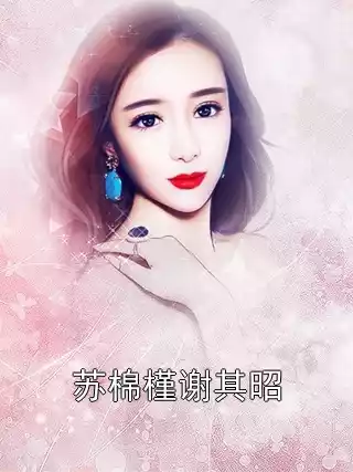 苏棉槿谢其昭小说