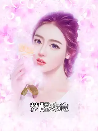 梦醒殊途小说