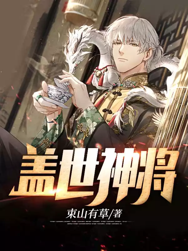 盖世神将小说