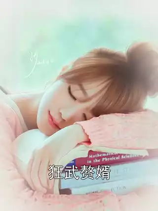 狂武赘婿小说