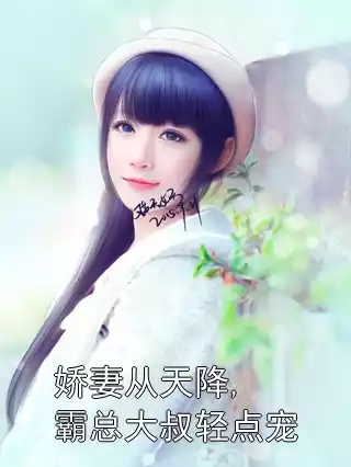 娇妻从天降,霸总大叔轻点宠小说