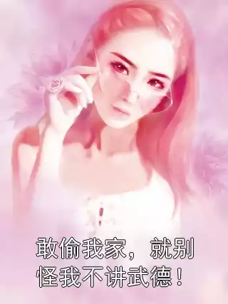 敢偷我家，就别怪我不讲武德！小说