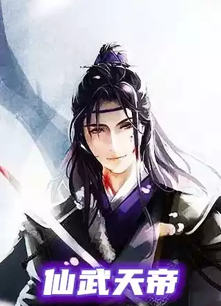 仙武天帝小说