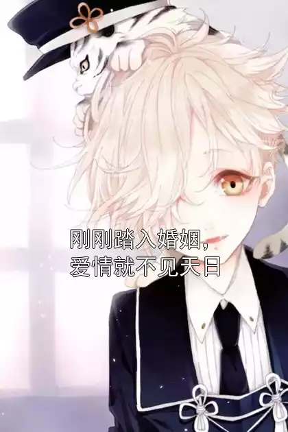 刚刚踏入婚姻，爱情就不见天日小说