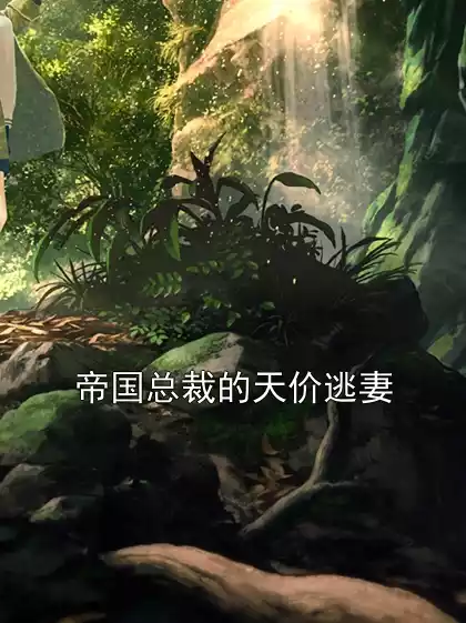 帝国总裁的天价逃妻小说