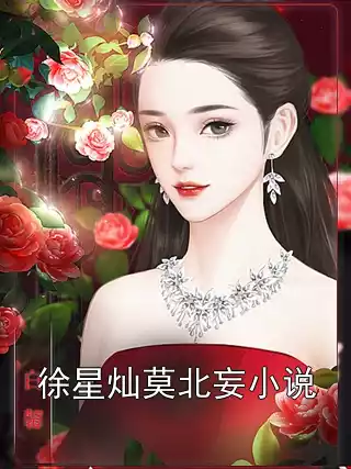 徐星灿莫北妄小说